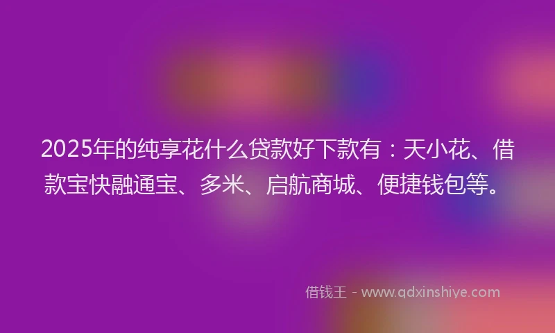 2025年的纯享花什么贷款好下款有：天小花、借款宝快融通宝、多米、启航商城、便捷钱包等。
