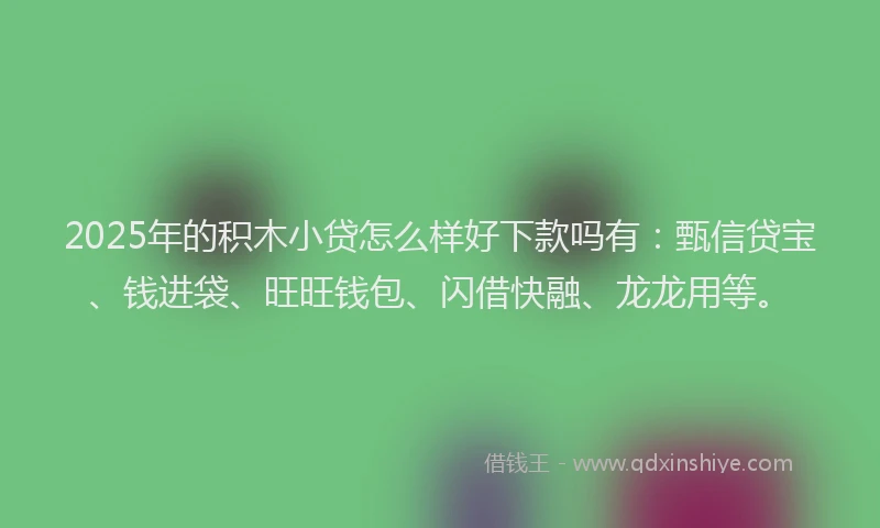 2025年的积木小贷怎么样好下款吗有：甄信贷宝、钱进袋、旺旺钱包、闪借快融、龙龙用等。