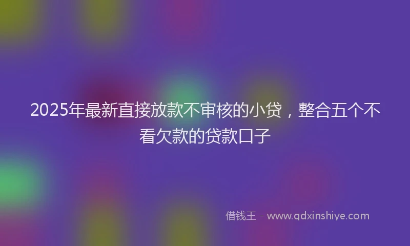 2025年最新直接放款不审核的小贷，整合五个不看欠款的贷款口子