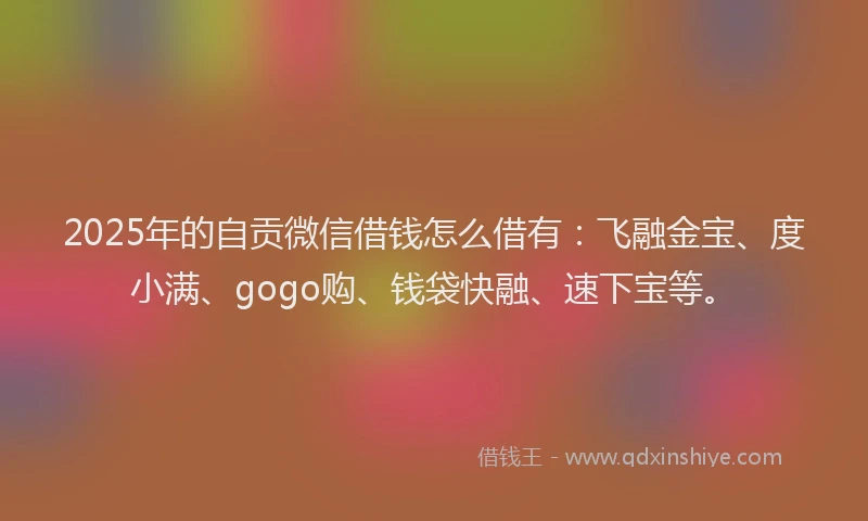 2025年的自贡微信借钱怎么借有：飞融金宝、度小满、gogo购、钱袋快融、速下宝等。