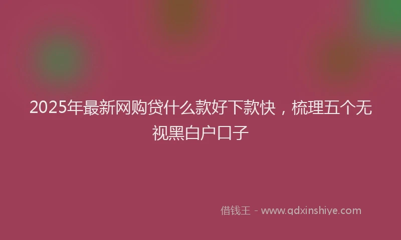 2025年最新网购贷什么款好下款快，梳理五个无视黑白户口子