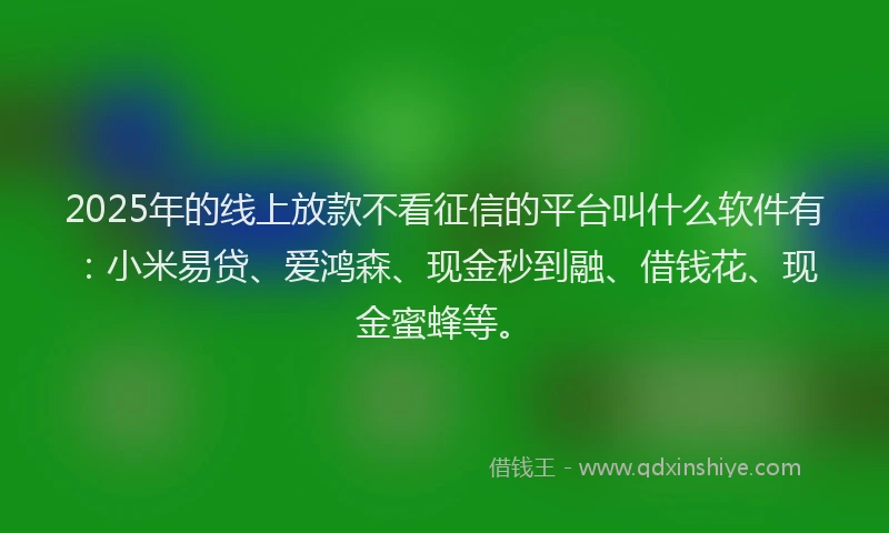 2025年的线上放款不看征信的平台叫什么软件有：小米易贷、爱鸿森、现金秒到融、借钱花、现金蜜蜂等。