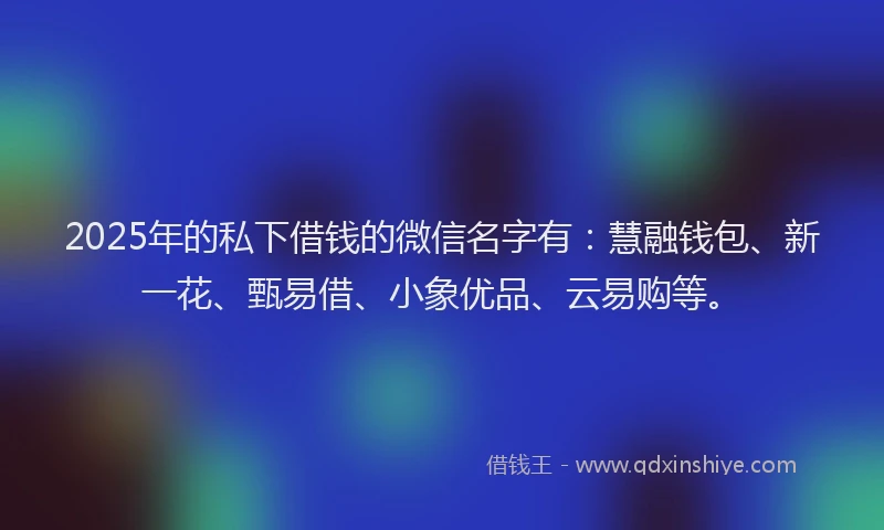 2025年的私下借钱的微信名字有：慧融钱包、新一花、甄易借、小象优品、云易购等。