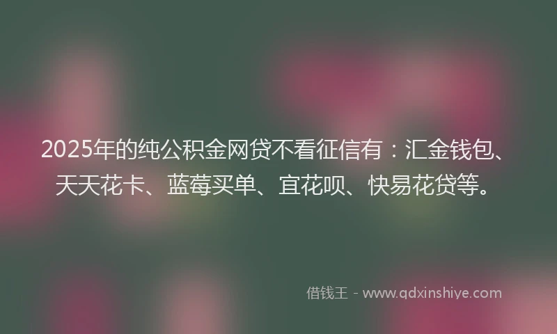 2025年的纯公积金网贷不看征信有：汇金钱包、天天花卡、蓝莓买单、宜花呗、快易花贷等。