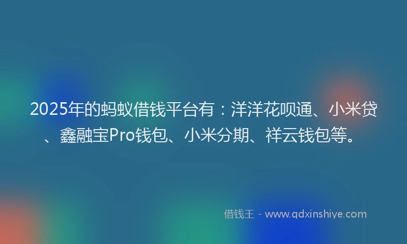 2025年的蚂蚁借钱平台有：洋洋花呗通、小米贷、鑫融宝Pro钱包、小米分期、祥云钱包等。