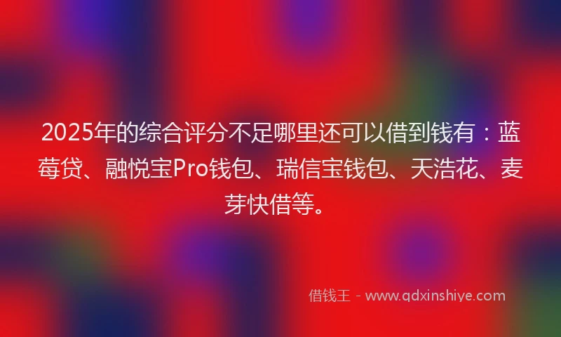 2025年的综合评分不足哪里还可以借到钱有：蓝莓贷、融悦宝Pro钱包、瑞信宝钱包、天浩花、麦芽快借等。