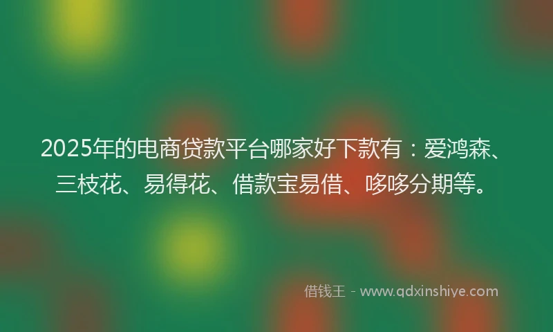 2025年的电商贷款平台哪家好下款有：爱鸿森、三枝花、易得花、借款宝易借、哆哆分期等。