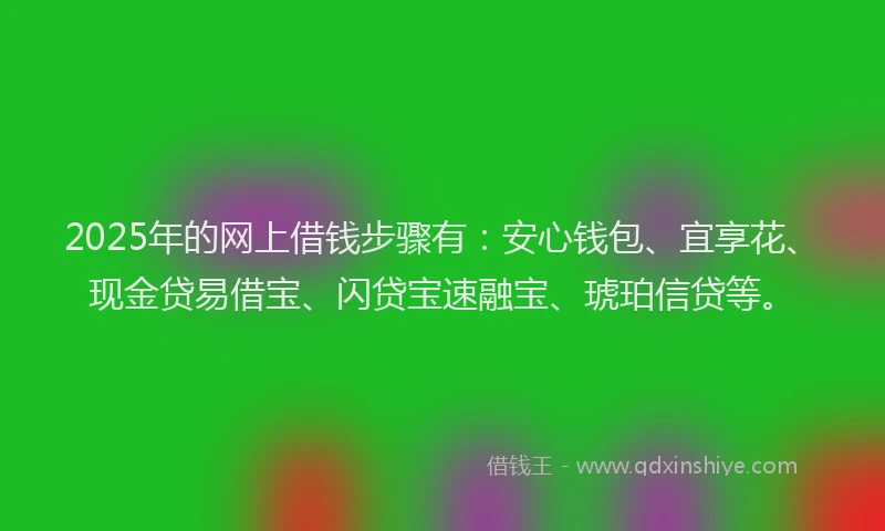 2025年的网上借钱步骤有：安心钱包、宜享花、现金贷易借宝、闪贷宝速融宝、琥珀信贷等。