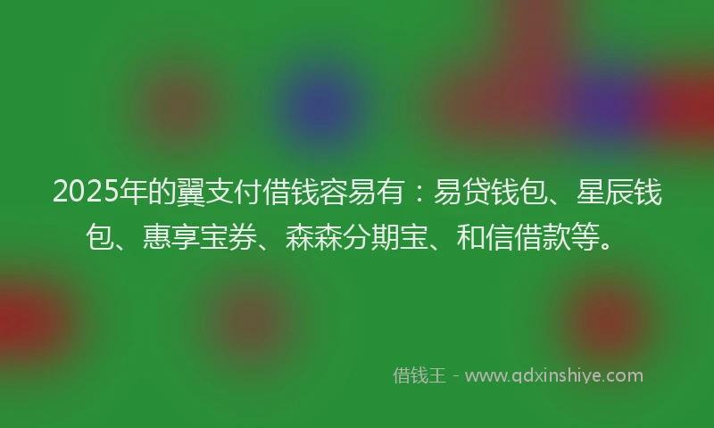 2025年的翼支付借钱容易有：易贷钱包、星辰钱包、惠享宝券、森森分期宝、和信借款等。