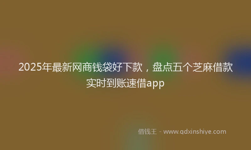 2025年最新网商钱袋好下款，盘点五个芝麻借款实时到账速借app