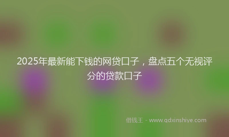 2025年最新能下钱的网贷口子，盘点五个无视评分的贷款口子