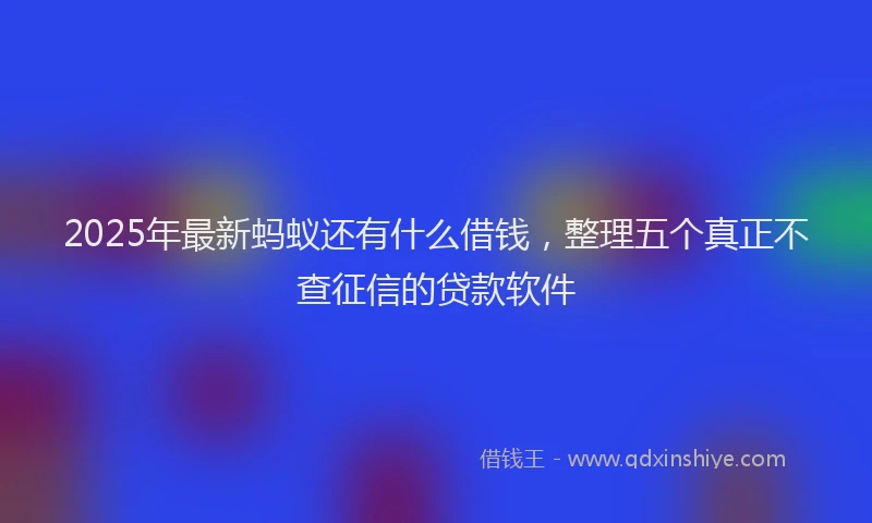 2025年最新蚂蚁还有什么借钱，整理五个真正不查征信的贷款软件