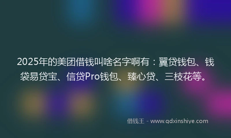 2025年的美团借钱叫啥名字啊有：翼贷钱包、钱袋易贷宝、信贷Pro钱包、臻心贷、三枝花等。