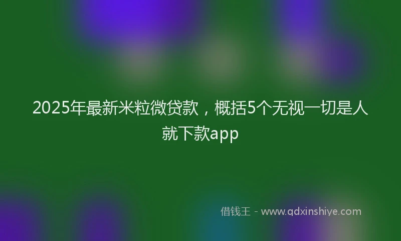 2025年最新米粒微贷款，概括5个无视一切是人就下款app