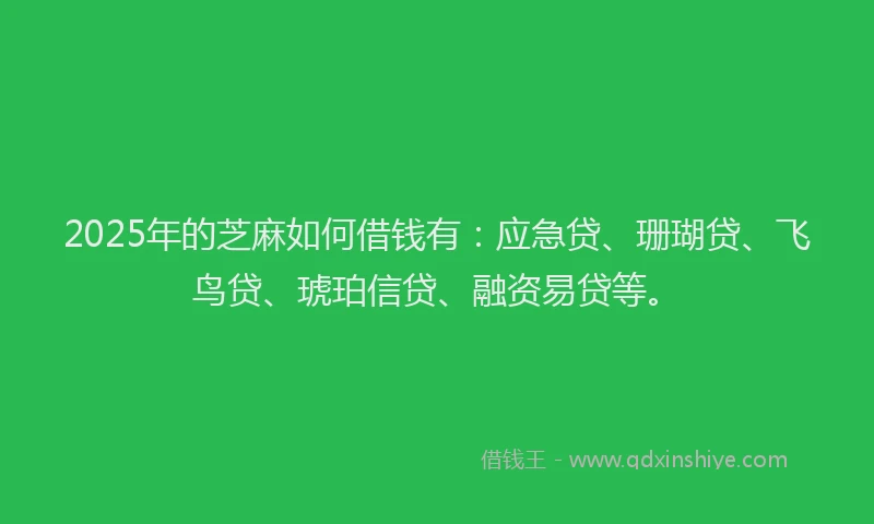 2025年的芝麻如何借钱有：应急贷、珊瑚贷、飞鸟贷、琥珀信贷、融资易贷等。
