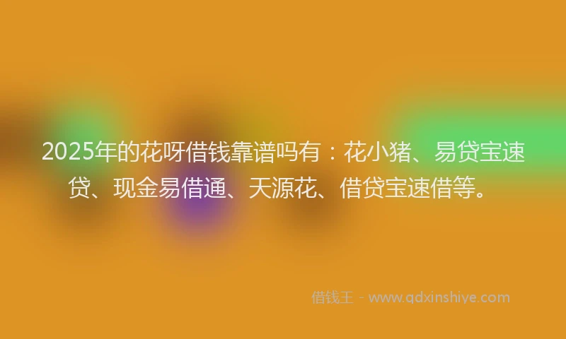 2025年的花呀借钱靠谱吗有：花小猪、易贷宝速贷、现金易借通、天源花、借贷宝速借等。