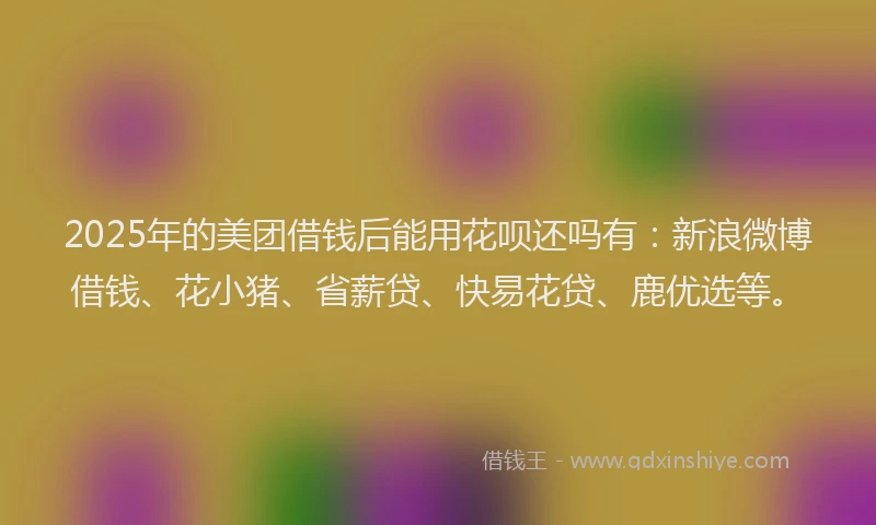 2025年的美团借钱后能用花呗还吗有：新浪微博借钱、花小猪、省薪贷、快易花贷、鹿优选等。