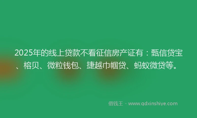 2025年的线上贷款不看征信房产证有：甄信贷宝、榕贝、微粒钱包、捷越巾帼贷、蚂蚁微贷等。