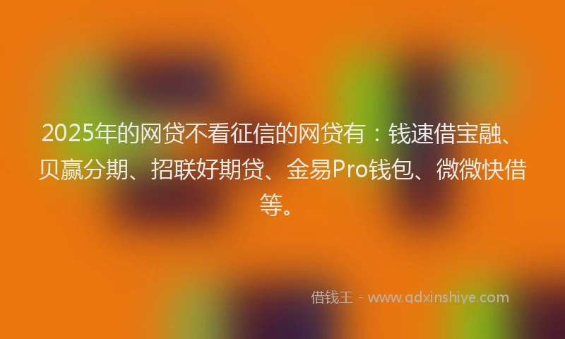 2025年的网贷不看征信的网贷有：钱速借宝融、贝赢分期、招联好期贷、金易Pro钱包、微微快借等。