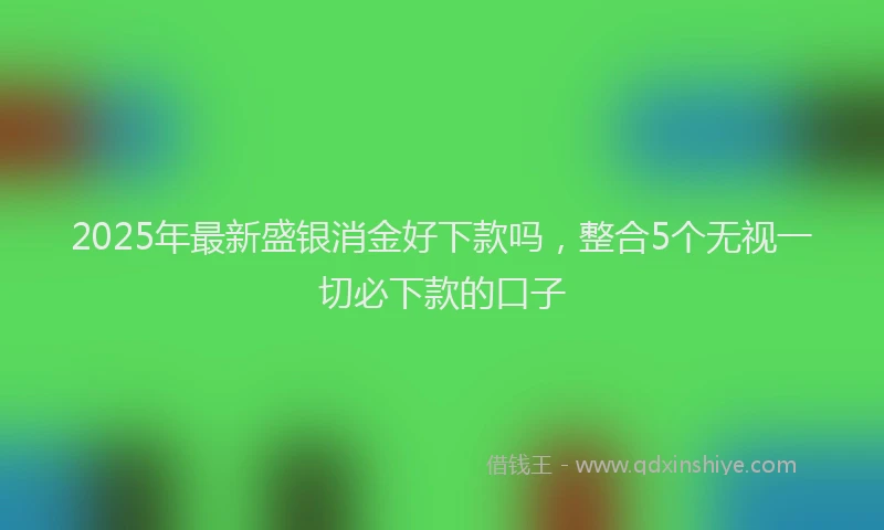 2025年最新盛银消金好下款吗，整合5个无视一切必下款的口子