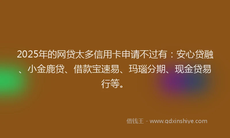 2025年的网贷太多信用卡申请不过有：安心贷融、小金鹿贷、借款宝速易、玛瑙分期、现金贷易行等。