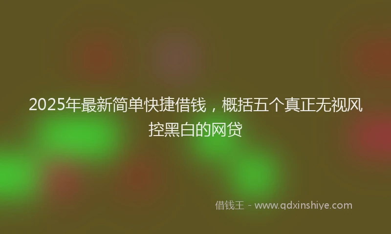2025年最新简单快捷借钱，概括五个真正无视风控黑白的网贷