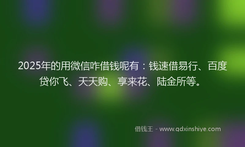 2025年的用微信咋借钱呢有：钱速借易行、百度贷你飞、天天购、享来花、陆金所等。