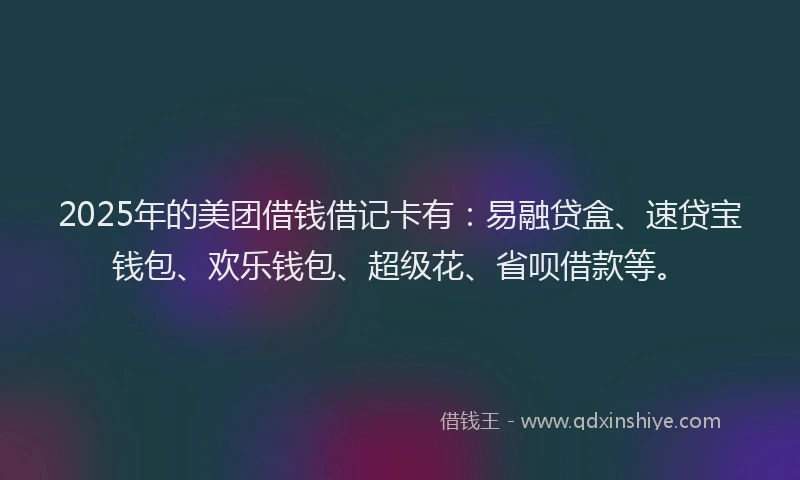 2025年的美团借钱借记卡有：易融贷盒、速贷宝钱包、欢乐钱包、超级花、省呗借款等。