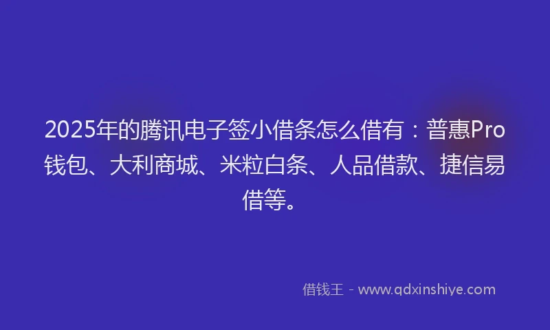 2025年的腾讯电子签小借条怎么借有：普惠Pro钱包、大利商城、米粒白条、人品借款、捷信易借等。