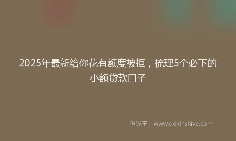 2025年最新给你花有额度被拒，梳理5个必下的小额贷款口子