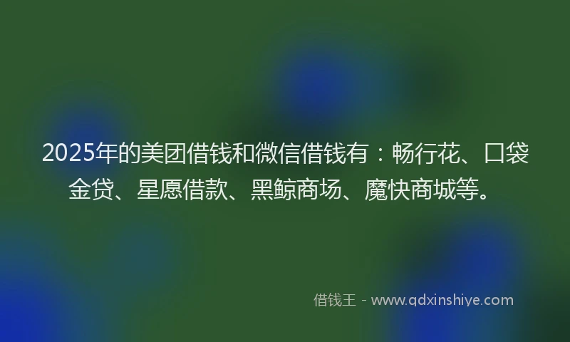 2025年的美团借钱和微信借钱有：畅行花、口袋金贷、星愿借款、黑鲸商场、魔快商城等。