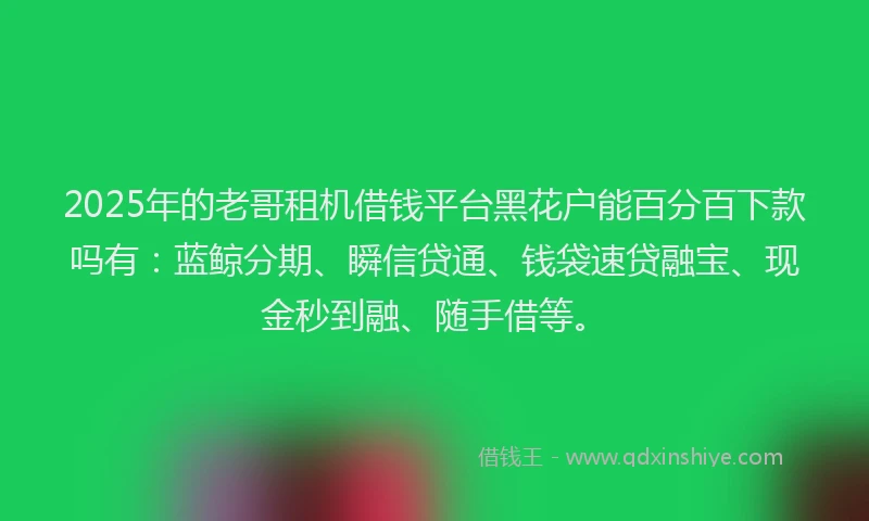 2025年的老哥租机借钱平台黑花户能百分百下款吗有：蓝鲸分期、瞬信贷通、钱袋速贷融宝、现金秒到融、随手借等。