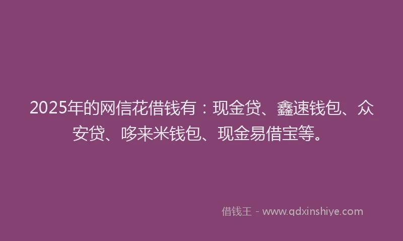 2025年的网信花借钱有：现金贷、鑫速钱包、众安贷、哆来米钱包、现金易借宝等。