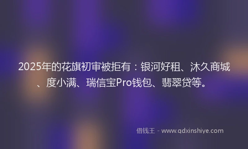 2025年的花旗初审被拒有：银河好租、沐久商城、度小满、瑞信宝Pro钱包、翡翠贷等。