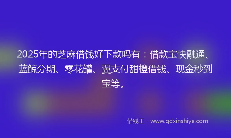 2025年的芝麻借钱好下款吗有：借款宝快融通、蓝鲸分期、零花罐、翼支付甜橙借钱、现金秒到宝等。