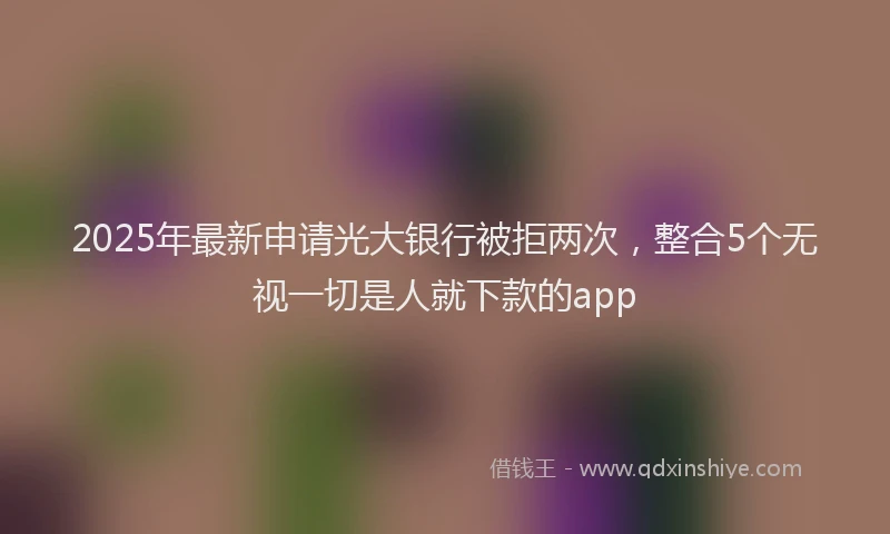 2025年最新申请光大银行被拒两次，整合5个无视一切是人就下款的app