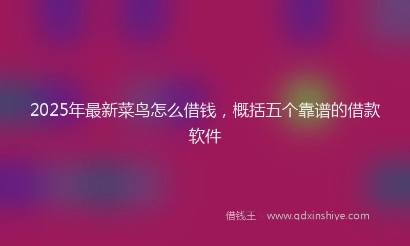 2025年最新菜鸟怎么借钱，概括五个靠谱的借款软件