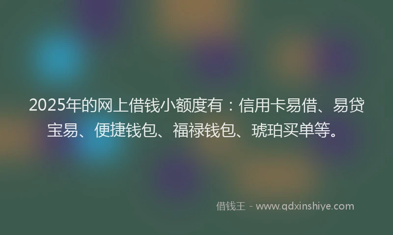 2025年的网上借钱小额度有：信用卡易借、易贷宝易、便捷钱包、福禄钱包、琥珀买单等。