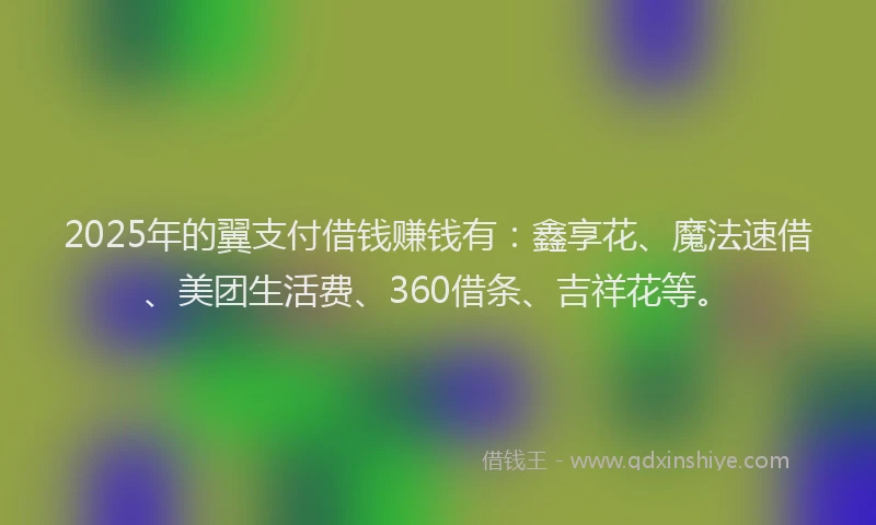 2025年的翼支付借钱赚钱有：鑫享花、魔法速借、美团生活费、360借条、吉祥花等。