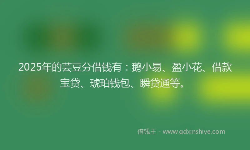 2025年的芸豆分借钱有：鹅小易、盈小花、借款宝贷、琥珀钱包、瞬贷通等。