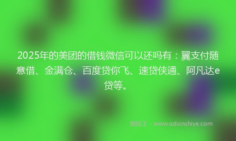 2025年的美团的借钱微信可以还吗有：翼支付随意借、金满仓、百度贷你飞、速贷侠通、阿凡达e贷等。