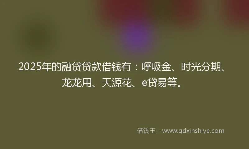 2025年的融贷贷款借钱有：呼吸金、时光分期、龙龙用、天源花、e贷易等。