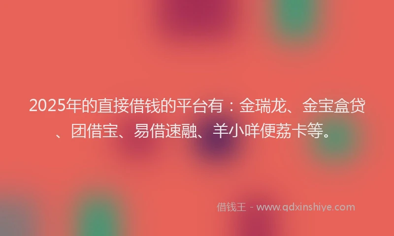 2025年的直接借钱的平台有：金瑞龙、金宝盒贷、团借宝、易借速融、羊小咩便荔卡等。