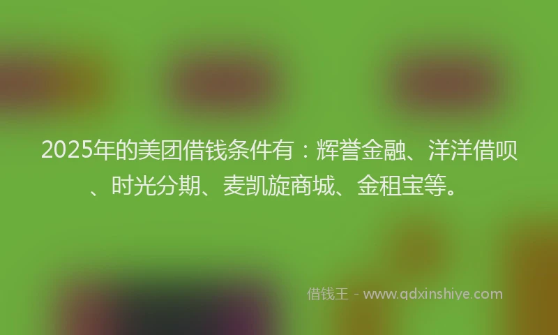 2025年的美团借钱条件有：辉誉金融、洋洋借呗、时光分期、麦凯旋商城、金租宝等。