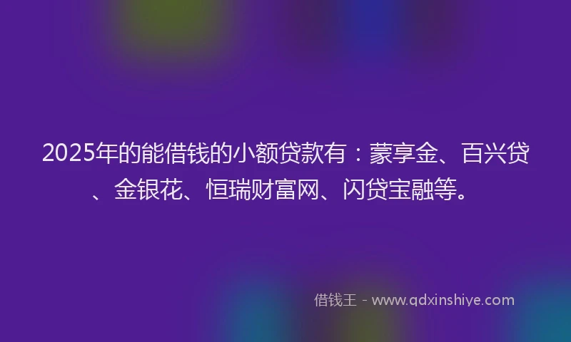 2025年的能借钱的小额贷款有：蒙享金、百兴贷、金银花、恒瑞财富网、闪贷宝融等。