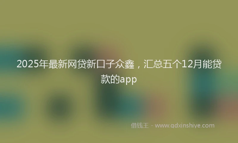 2025年最新网贷新口子众鑫，汇总五个12月能贷款的app