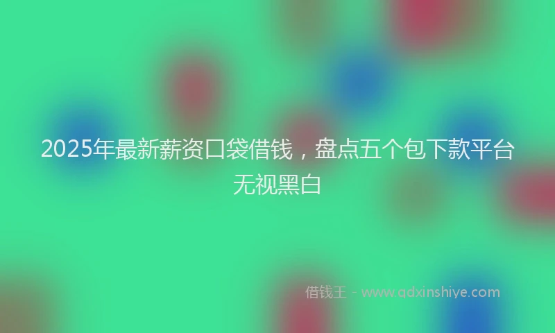 2025年最新薪资口袋借钱，盘点五个包下款平台无视黑白