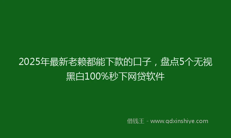 2025年最新老赖都能下款的口子，盘点5个无视黑白100%秒下网贷软件