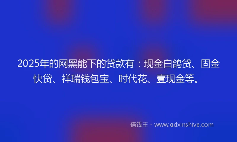 2025年的网黑能下的贷款有：现金白鸽贷、固金快贷、祥瑞钱包宝、时代花、壹现金等。