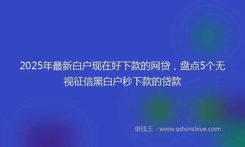 2025年最新白户现在好下款的网贷，盘点5个无视征信黑白户秒下款的贷款